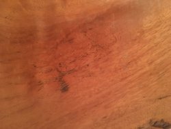 IMG_6523.JPG