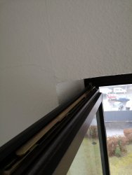 IMG_20210309_145351.jpg