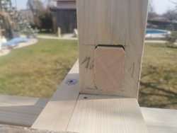 1616674931567.jpeg 1616674931567.jpeg