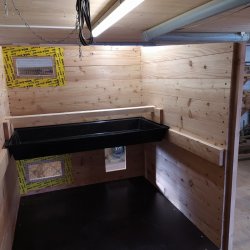 IMG_20210326_170731.jpg IMG_20210326_170731.jpg