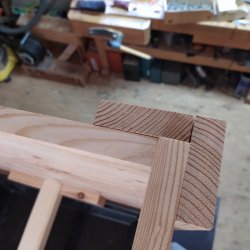 IMG_20210326_170841.jpg IMG_20210326_170841.jpg