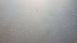 20210330_155351.jpg 20210330_155351.jpg
