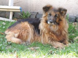 DSCN4673.JPG