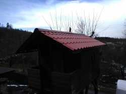 IMG_20210406_134404.jpg IMG_20210406_134404.jpg