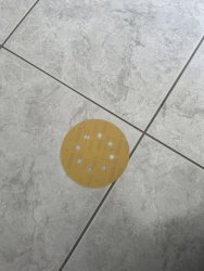 E473EC1D-7507-4B3B-8ECF-A02CBE9B35BB.jpeg