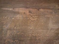 5F518572-320F-4610-ACBE-C5695BECDDB5.jpeg