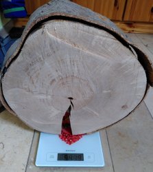 scheibe.jpg scheibe.jpg