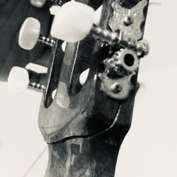 44D69AD6-1470-43CC-81AE-064D628D190B.jpeg 44D69AD6-1470-43CC-81AE-064D628D190B.jpeg