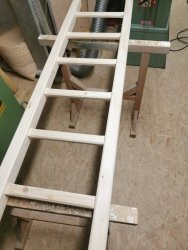 1619418808903.jpeg 1619418808903.jpeg