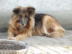 DSCN4688.JPG