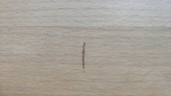 IMG_20210503_134935.jpg