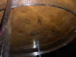 9C9F6999-34DD-4CE9-8AD4-B9AFC3003479.jpeg 9C9F6999-34DD-4CE9-8AD4-B9AFC3003479.jpeg