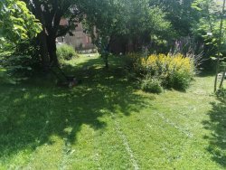 IMG_20210703_115210.jpg