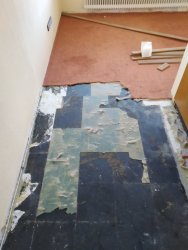 IMG_20210707_184843.jpg