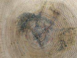 D73893A7-2200-42B1-8C6E-84374E94F3C1.jpeg D73893A7-2200-42B1-8C6E-84374E94F3C1.jpeg