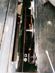 IMG_20210810_100800.jpg
