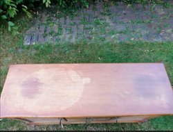 Screenshot_20210811_104609.jpg Screenshot_20210811_104609.jpg