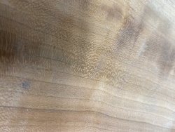 3782ADCD-CEEA-45F7-949C-720CA0EF3403.jpeg