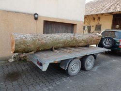 DSCN8904.JPG