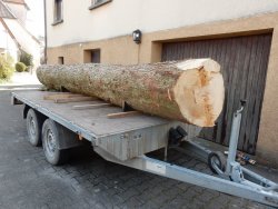 DSCN8905.JPG