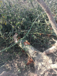 1631093106667.png