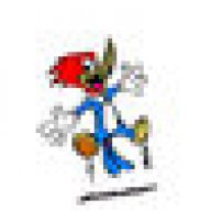 woodpecker67