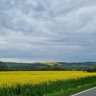 Polderplank