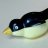 pinguin1966