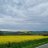 Polderplank