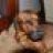 BernardMosk
